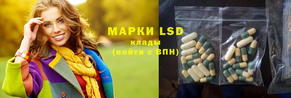 прущие грибы Козельск