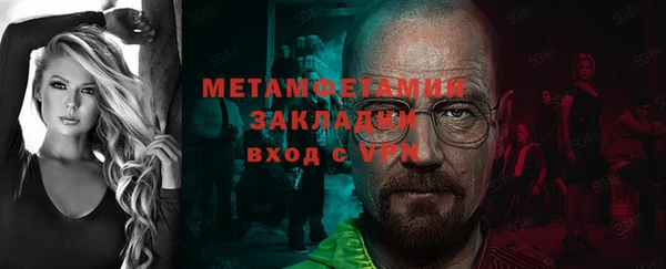 прущие грибы Козельск