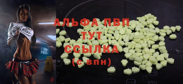 прущие грибы Козельск