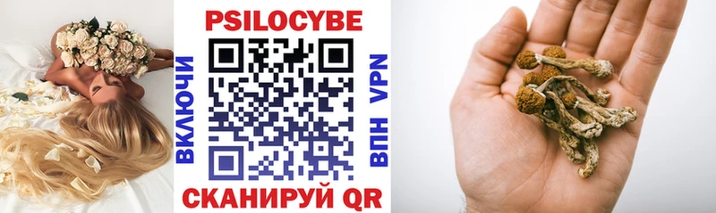 Галлюциногенные грибы ЛСД  Южно-Сухокумск 
